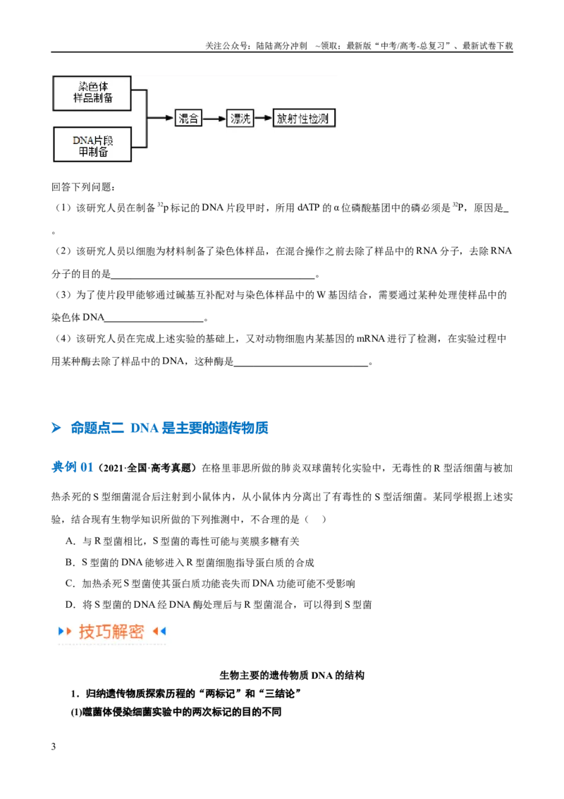 《专题05遗传的分子基础（讲义）（原卷版）_06-生物-高考总复习_二轮复习_2024年_2024年高考生物二轮复习高频考点追踪与预测（新高考专用）_讲义》第3页预览