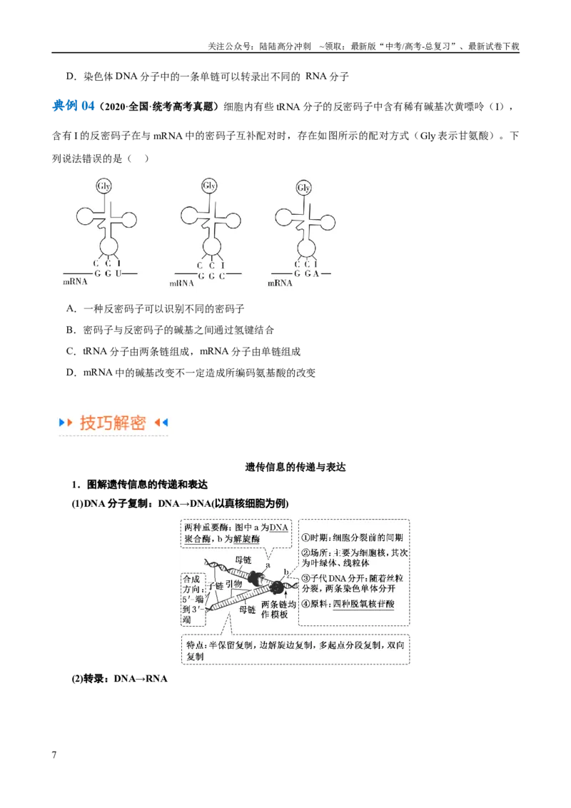 《专题05遗传的分子基础（讲义）（原卷版）_06-生物-高考总复习_二轮复习_2024年_2024年高考生物二轮复习高频考点追踪与预测（新高考专用）_讲义》第7页预览