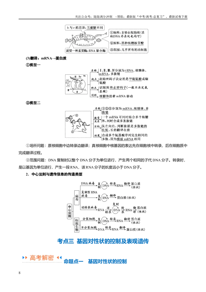 《专题05遗传的分子基础（讲义）（原卷版）_06-生物-高考总复习_二轮复习_2024年_2024年高考生物二轮复习高频考点追踪与预测（新高考专用）_讲义》第8页预览