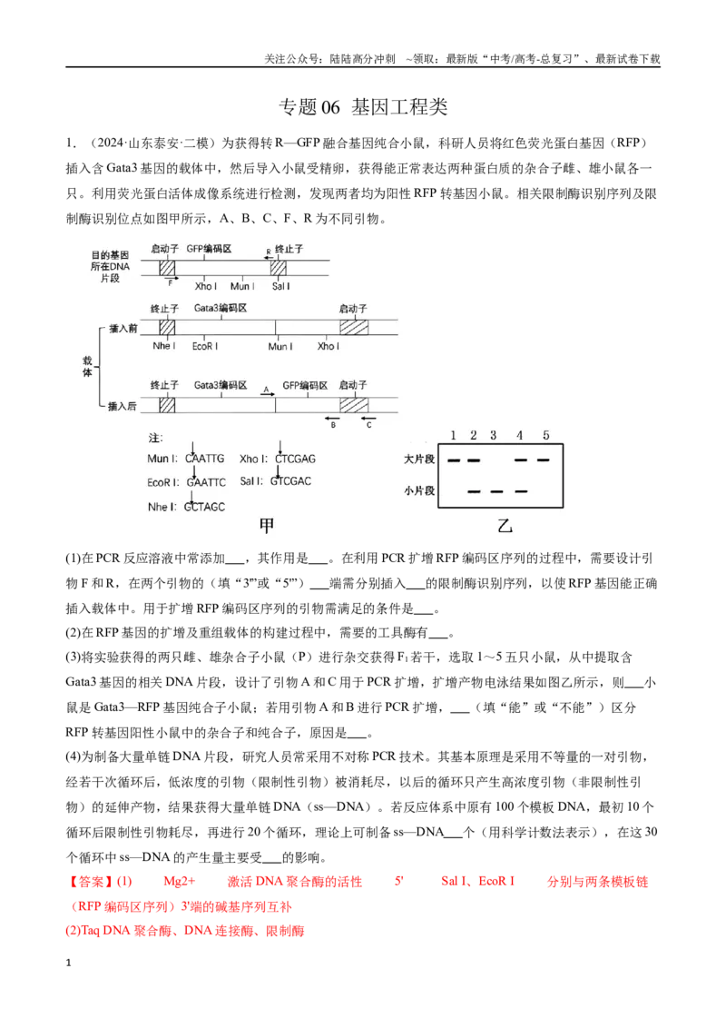 《专题06基因工程类（解析版）_06-生物-高考总复习_专项复习_2024年_2024年高考生物重难压轴题型考前终极押题_资料》第1页预览
