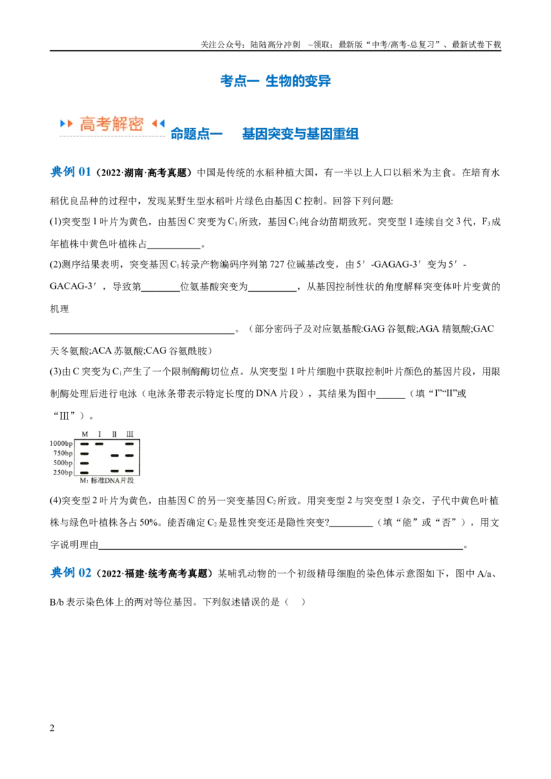 《专题06变异与进化（讲义）（原卷版）_06-生物-高考总复习_二轮复习_2024年_2024年高考生物二轮复习高频考点追踪与预测（新高考专用）_讲义》第2页预览