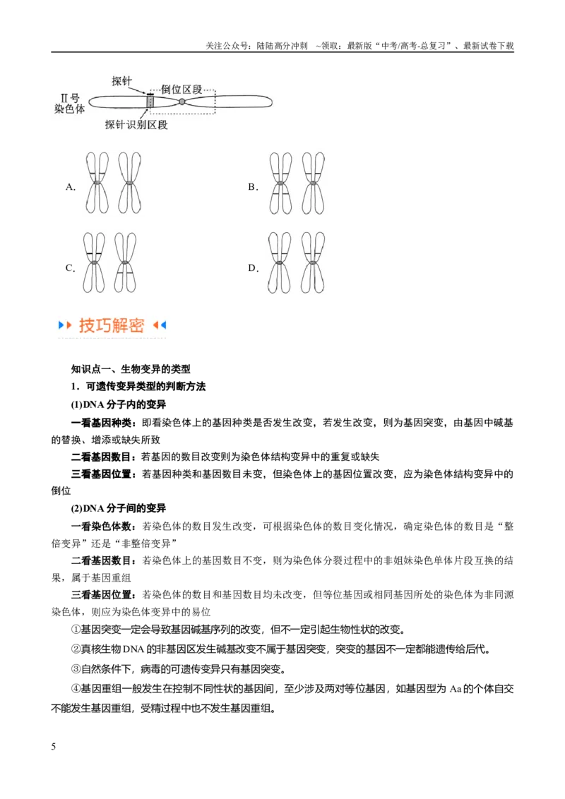 《专题06变异与进化（讲义）（原卷版）_06-生物-高考总复习_二轮复习_2024年_2024年高考生物二轮复习高频考点追踪与预测（新高考专用）_讲义》第5页预览