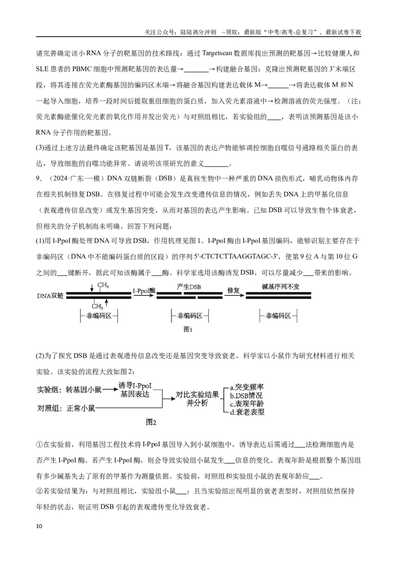 《专题06基因工程类（原卷版)_06-生物-高考总复习_专项复习_2024年_2024年高考生物重难压轴题型考前终极押题_资料》第10页预览