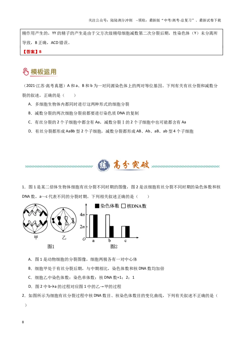 《专题03细胞分裂（学生版）_06-生物-高考总复习_专项复习_2025年_2025年高考生物答题技巧与答题模板（全国通用）》第8页预览