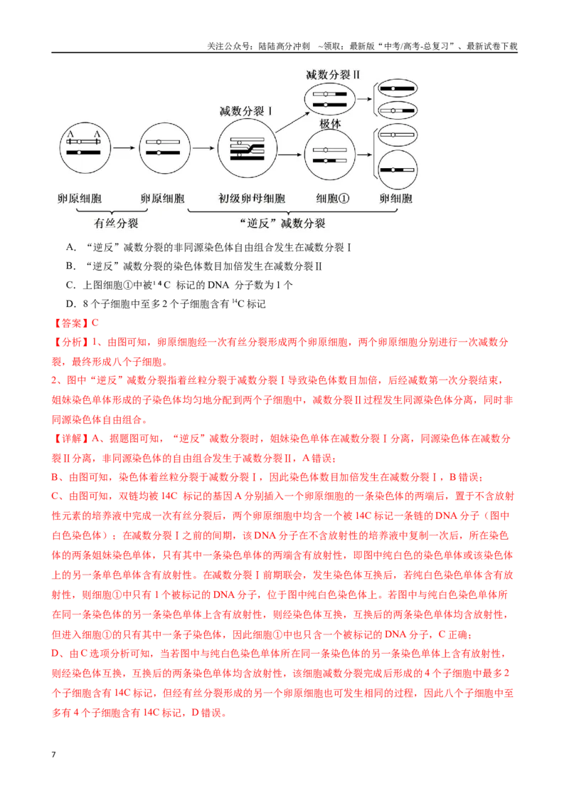 《专题05细胞的生命历程（解析版）_06-生物-高考总复习_专项复习_2024年_2024年高考生物重难压轴题型考前终极押题_资料》第7页预览