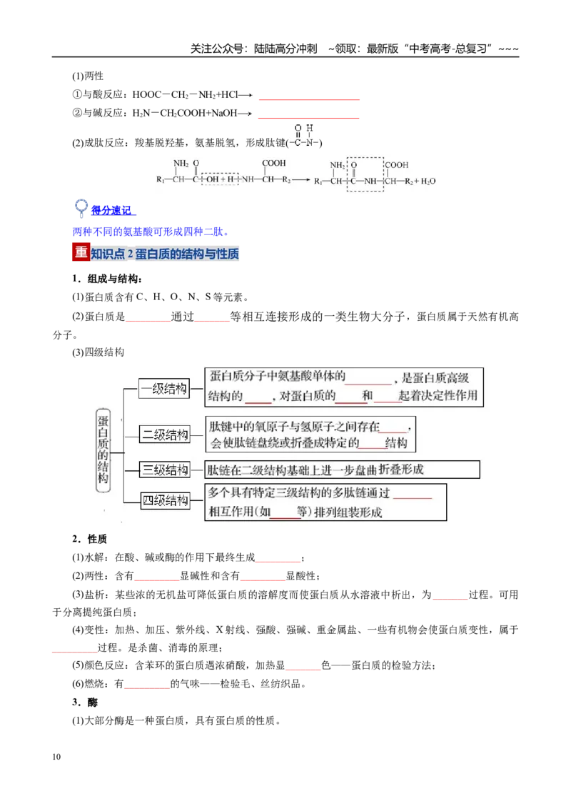 《第04讲生物大分子、合成高分子（复习讲义）（全国通用）（学生版）_05-化学-高考总复习_一轮复习_2026年-化学高考一轮复习_2026年高考化学一轮复习讲义+练习+课件（新教材新高考）-G55》第10页预览