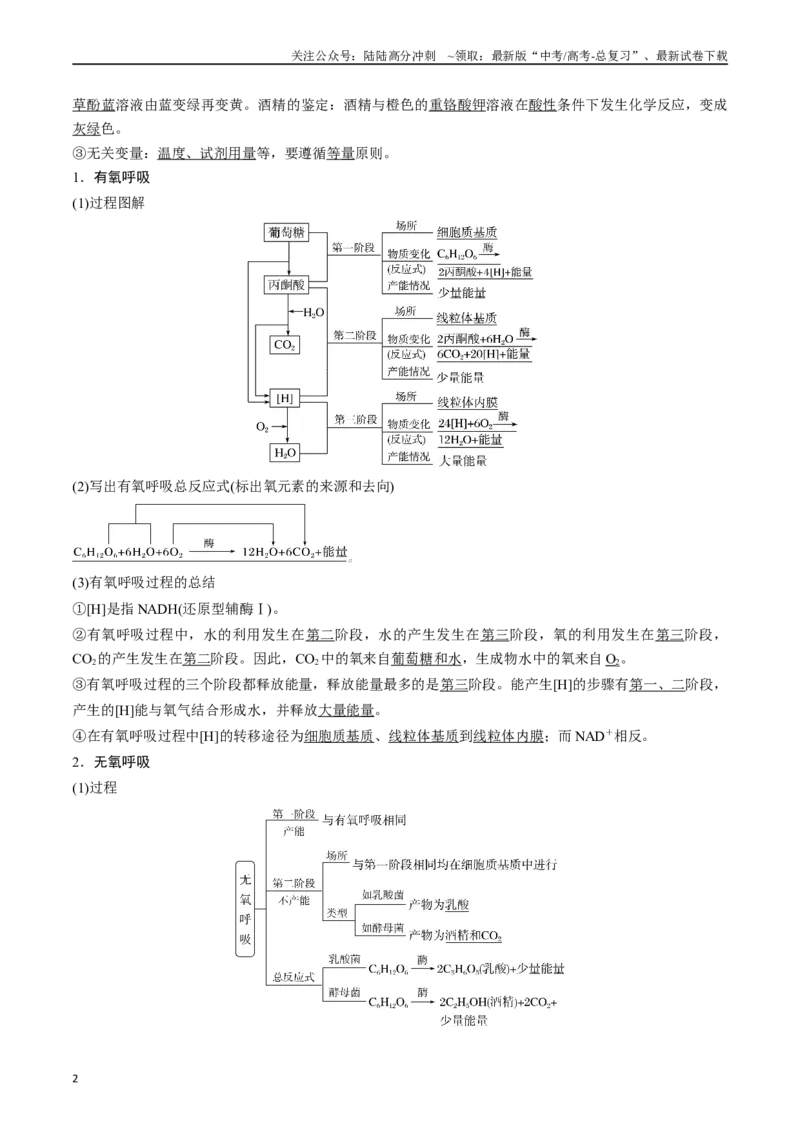 《专题05细胞呼吸（解析版）_06-生物-高考总复习_专项复习_2024年_2024年高考生物经典小题必刷_资料》第2页预览