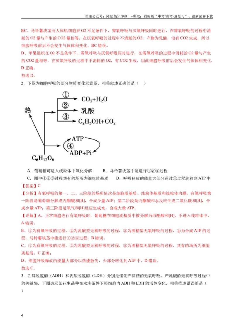 《专题05细胞呼吸（解析版）_06-生物-高考总复习_专项复习_2024年_2024年高考生物经典小题必刷_资料》第4页预览