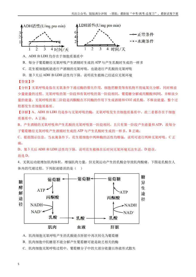 《专题05细胞呼吸（解析版）_06-生物-高考总复习_专项复习_2024年_2024年高考生物经典小题必刷_资料》第5页预览