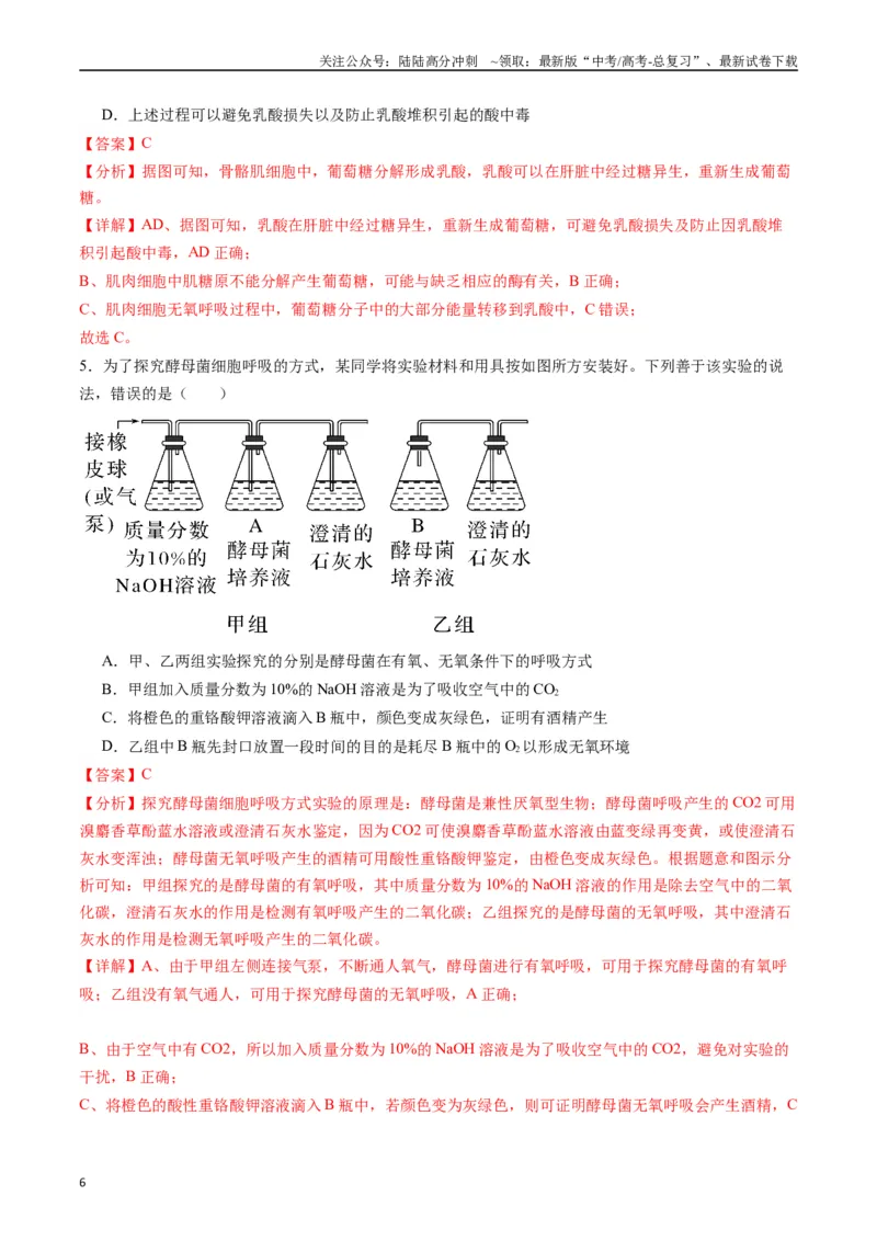 《专题05细胞呼吸（解析版）_06-生物-高考总复习_专项复习_2024年_2024年高考生物经典小题必刷_资料》第6页预览