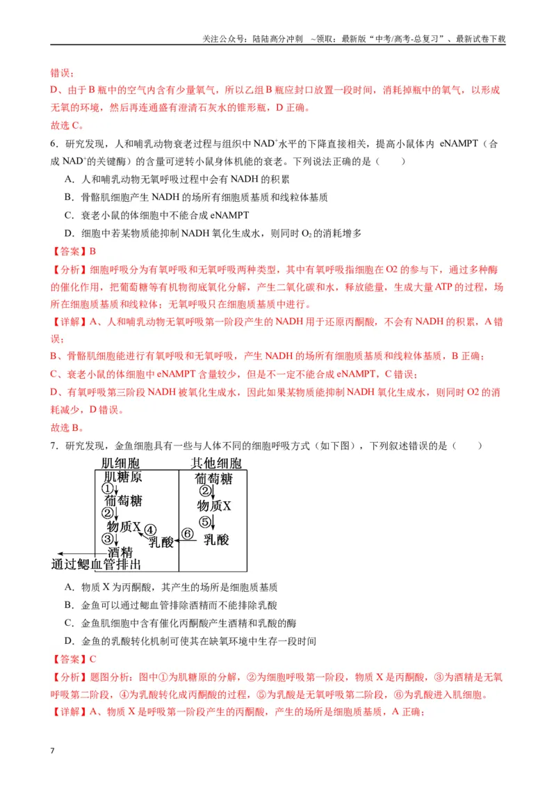 《专题05细胞呼吸（解析版）_06-生物-高考总复习_专项复习_2024年_2024年高考生物经典小题必刷_资料》第7页预览