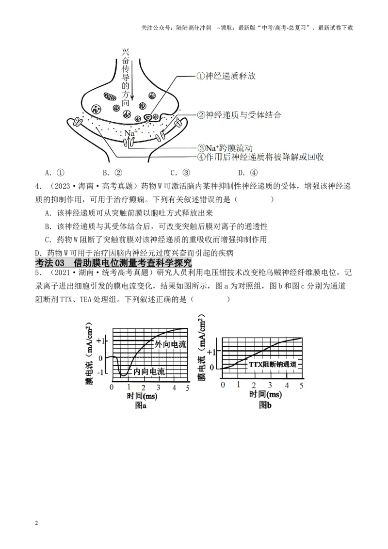 《专题05神经调节的相关实验探究（原卷版）_06-生物-高考总复习_专项复习_2024年_2024年高考生物热点实验分析预测题型归纳重难讲解_资料》第2页预览