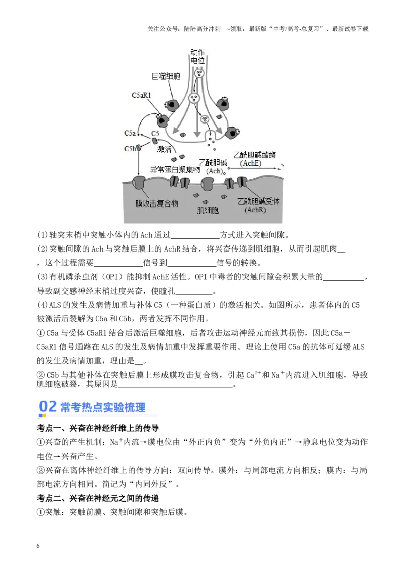 《专题05神经调节的相关实验探究（原卷版）_06-生物-高考总复习_专项复习_2024年_2024年高考生物热点实验分析预测题型归纳重难讲解_资料》第6页预览