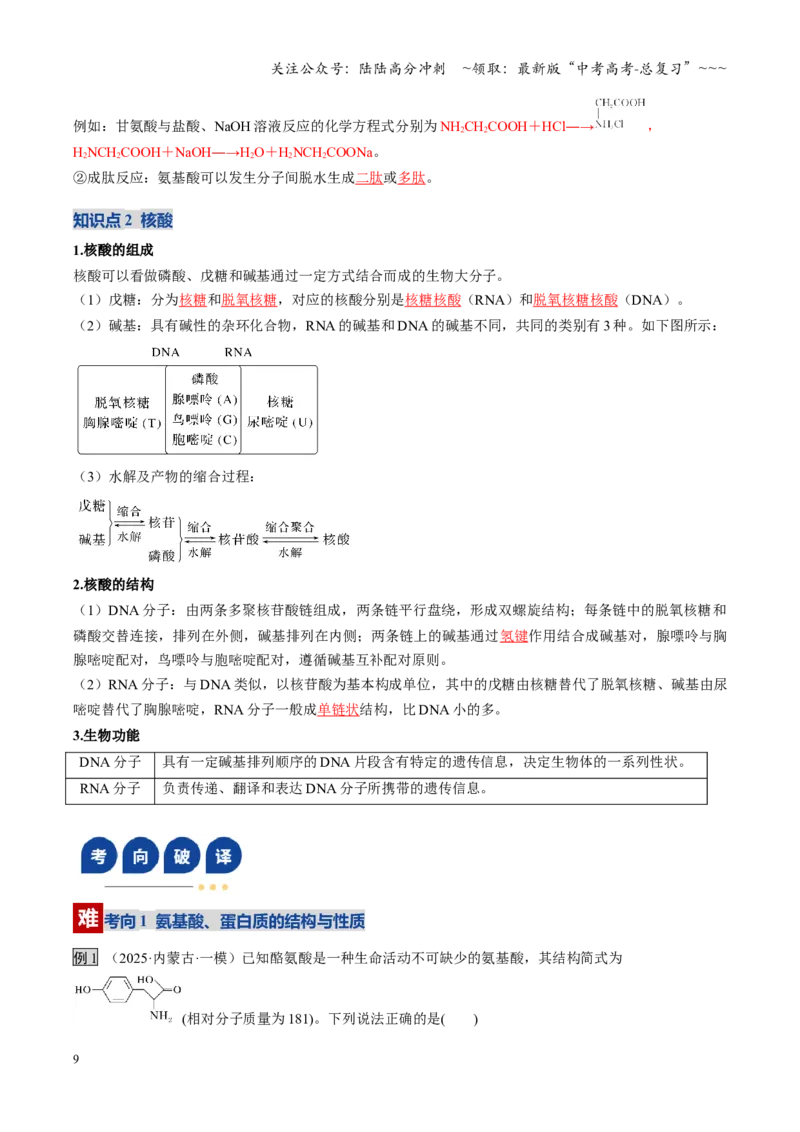 《第04讲生物大分子、合成高分子（复习讲义）（黑吉辽蒙专用）（教师版）_05-化学-高考总复习_一轮复习_2026年-化学高考一轮复习_2026年高考化学一轮课件+讲义+练习（黑吉辽蒙专用）-G330》第9页预览