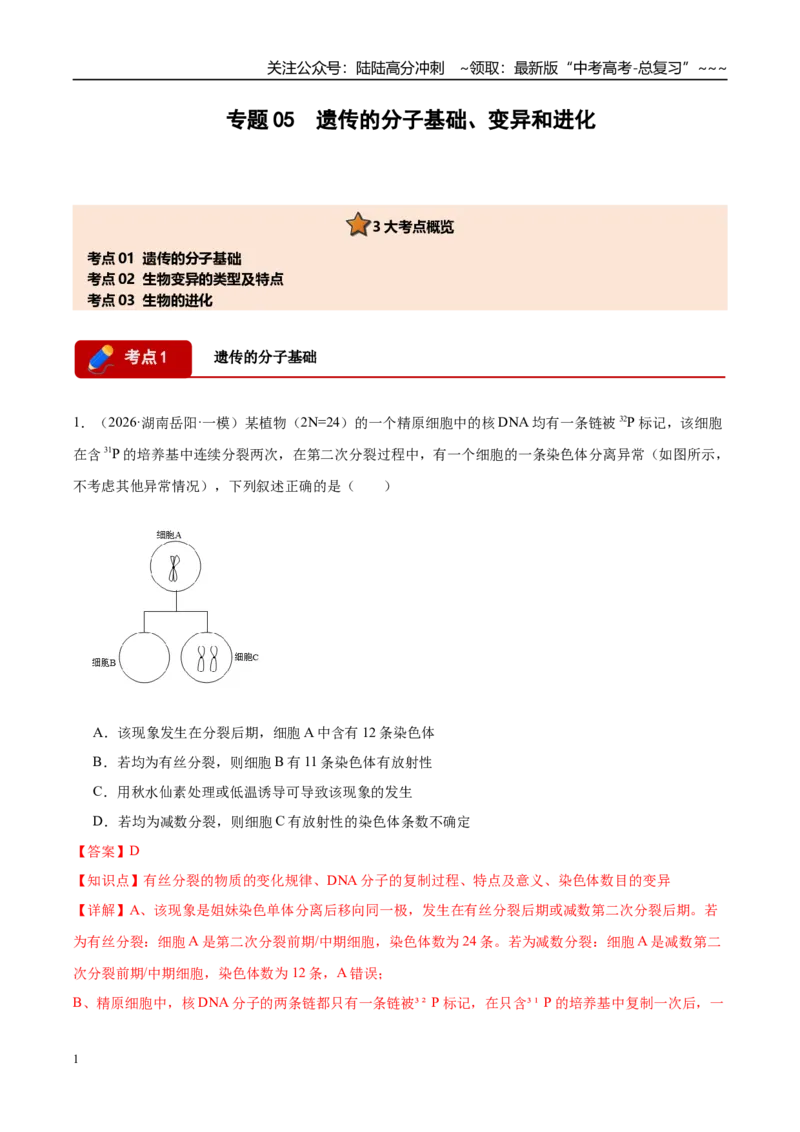 《专题05遗传的分子基础、变异和进化（3大考点）（教师版）_06-生物-高考总复习_专项复习_2026年-生物高考专项复习_2026年高考生物一模试题分类汇编（湖南专用）-G236_2026版》第1页预览