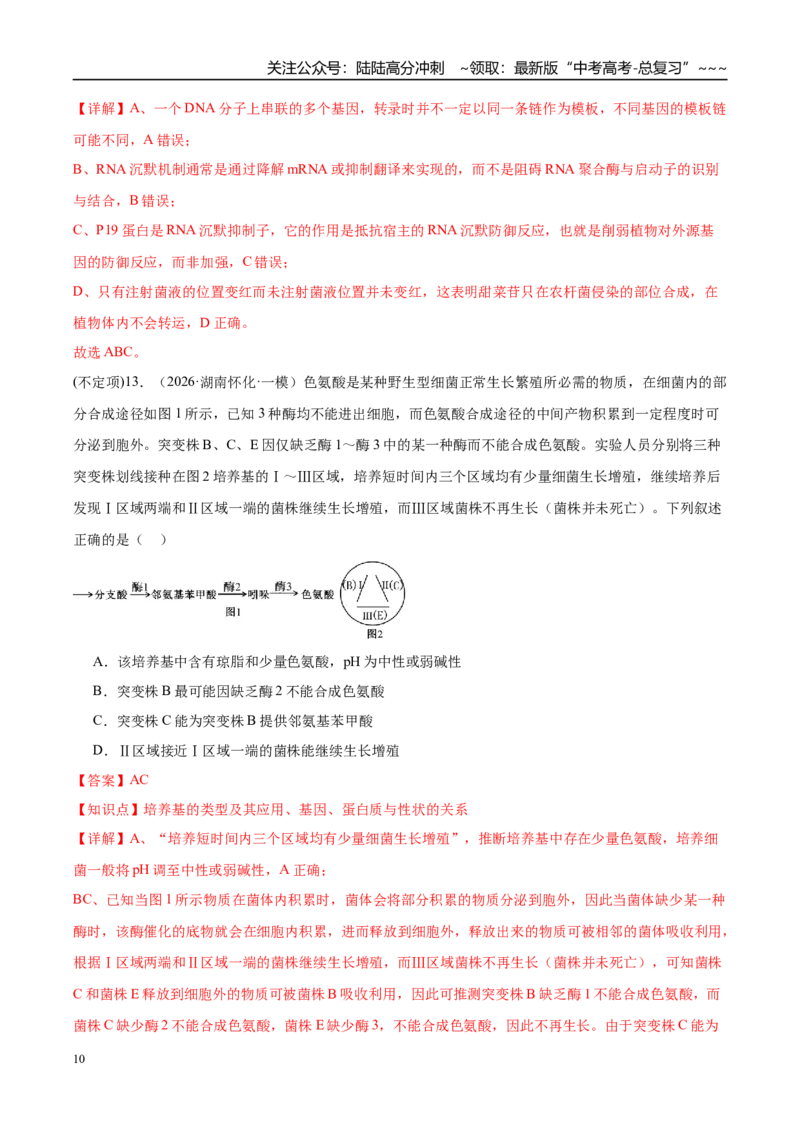 《专题05遗传的分子基础、变异和进化（3大考点）（教师版）_06-生物-高考总复习_专项复习_2026年-生物高考专项复习_2026年高考生物一模试题分类汇编（湖南专用）-G236_2026版》第10页预览