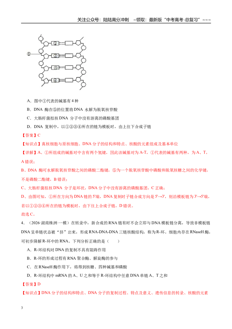 《专题05遗传的分子基础、变异和进化（3大考点）（教师版）_06-生物-高考总复习_专项复习_2026年-生物高考专项复习_2026年高考生物一模试题分类汇编（湖南专用）-G236_2026版》第3页预览