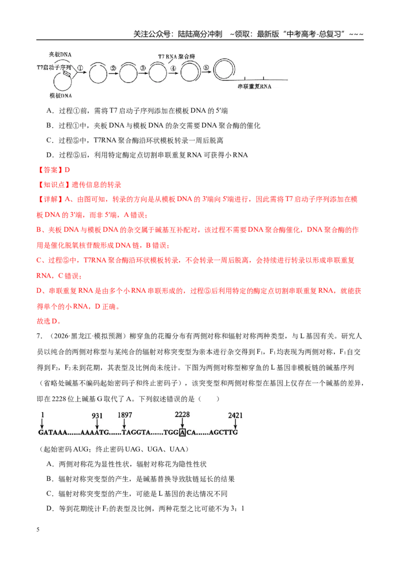 《专题05遗传的分子基础、变异和进化（3大考点）（教师版）_06-生物-高考总复习_专项复习_2026年-生物高考专项复习_2026年高考生物一模试题分类汇编（湖南专用）-G236_2026版》第5页预览