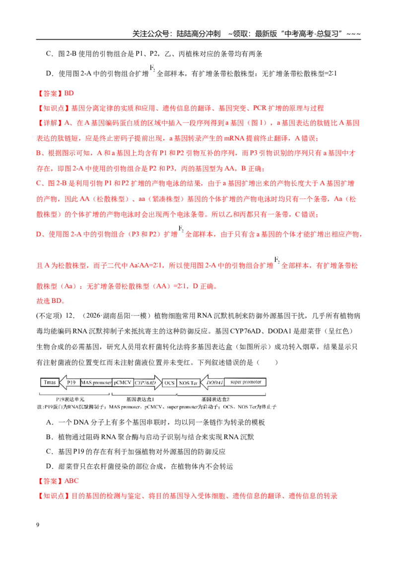 《专题05遗传的分子基础、变异和进化（3大考点）（教师版）_06-生物-高考总复习_专项复习_2026年-生物高考专项复习_2026年高考生物一模试题分类汇编（湖南专用）-G236_2026版》第9页预览