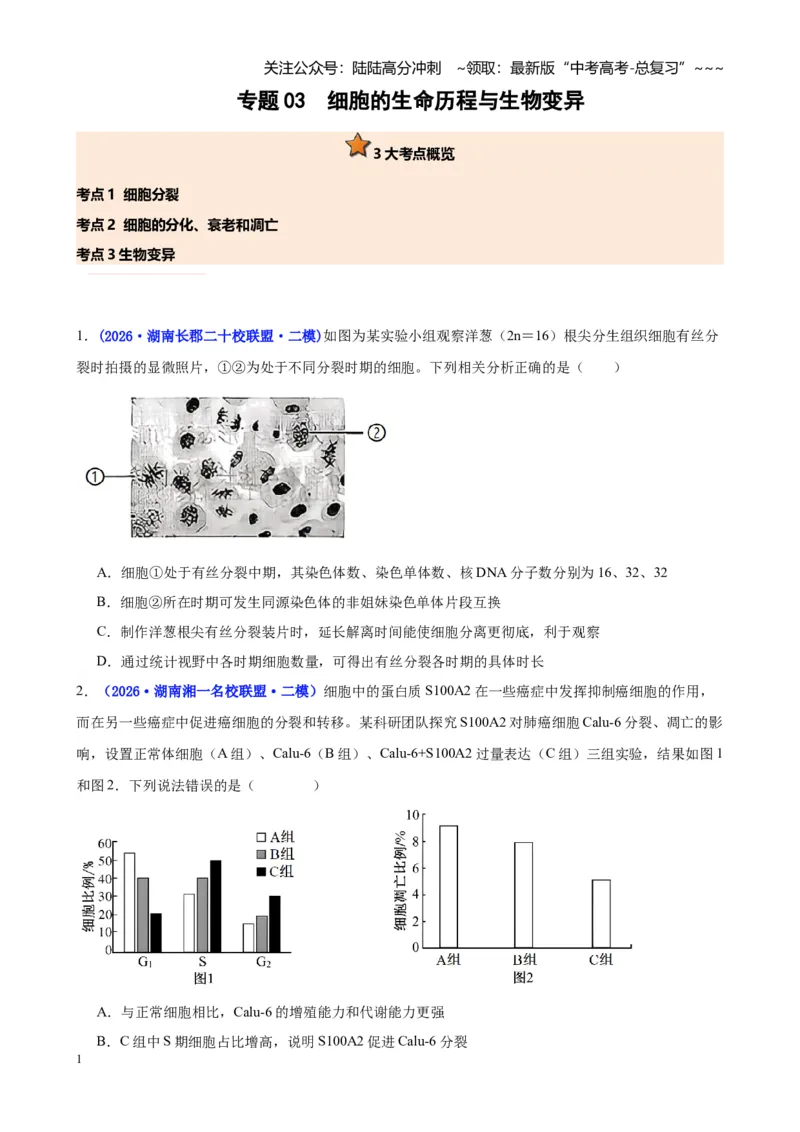 《专题03细胞的生命历程与生物变异（学生版）_06-生物-高考总复习_专项复习_2026年-生物高考专项复习_2026年高考生物二模试题分类汇编（湖南专用）-G292_2026版》第1页预览