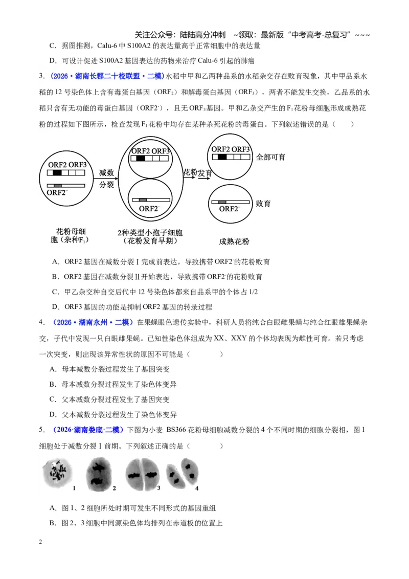 《专题03细胞的生命历程与生物变异（学生版）_06-生物-高考总复习_专项复习_2026年-生物高考专项复习_2026年高考生物二模试题分类汇编（湖南专用）-G292_2026版》第2页预览