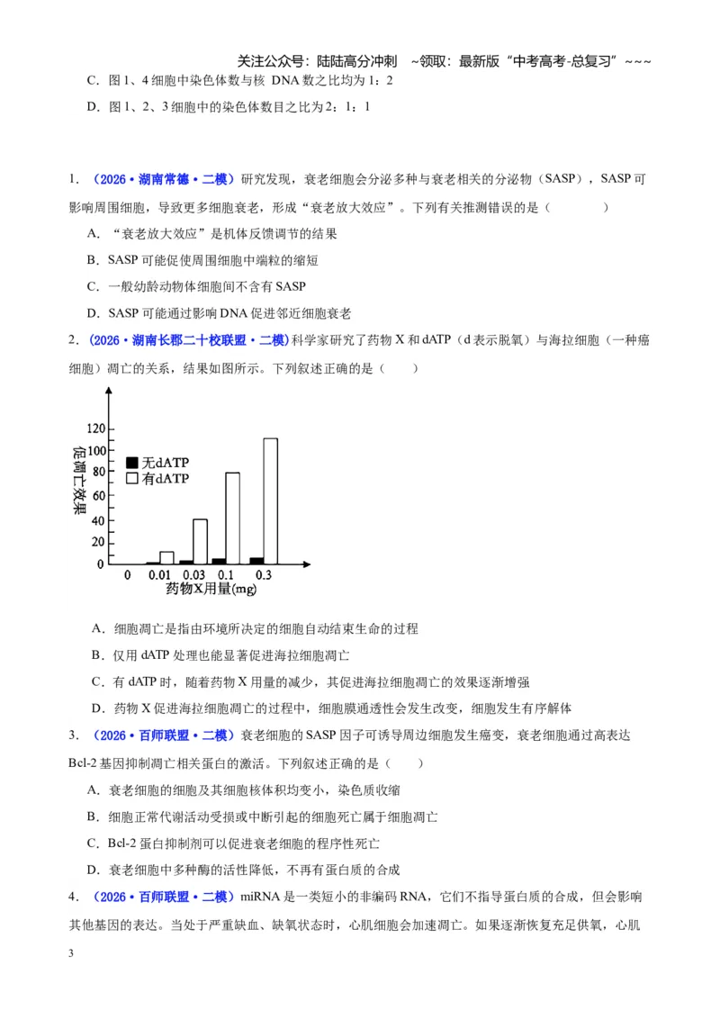 《专题03细胞的生命历程与生物变异（学生版）_06-生物-高考总复习_专项复习_2026年-生物高考专项复习_2026年高考生物二模试题分类汇编（湖南专用）-G292_2026版》第3页预览