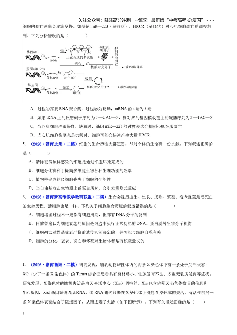 《专题03细胞的生命历程与生物变异（学生版）_06-生物-高考总复习_专项复习_2026年-生物高考专项复习_2026年高考生物二模试题分类汇编（湖南专用）-G292_2026版》第4页预览