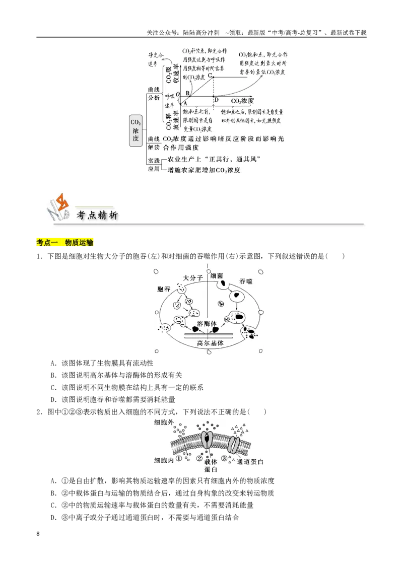 《专题03物质运输与能量的利用（原卷版）_06-生物-高考总复习_二轮复习_2024年_2024年高考生物二轮复习考点归纳与解题策略新高考_资料》第8页预览