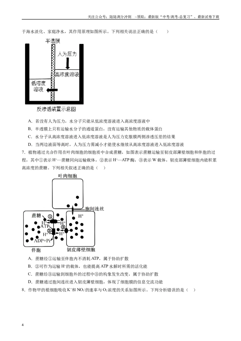 《专题03物质运输（原卷版）_06-生物-高考总复习_专项复习_2024年_2024年高考生物经典小题必刷_资料》第4页预览