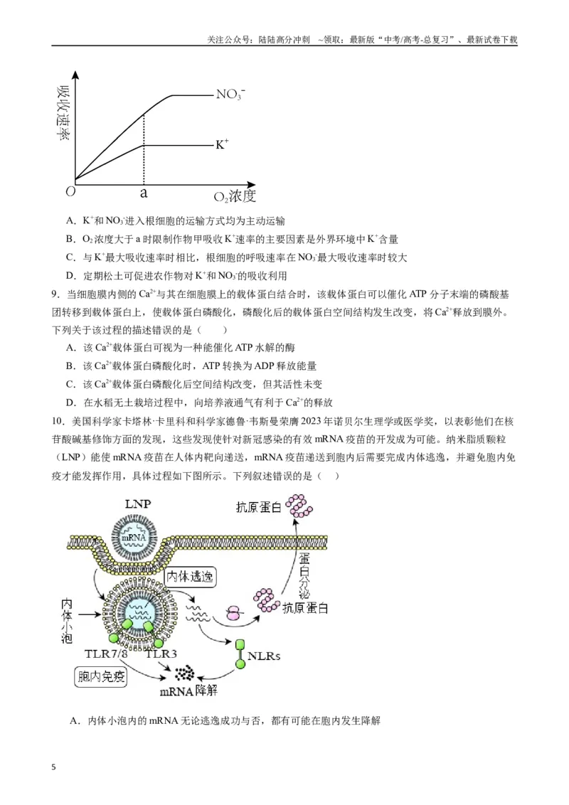 《专题03物质运输（原卷版）_06-生物-高考总复习_专项复习_2024年_2024年高考生物经典小题必刷_资料》第5页预览