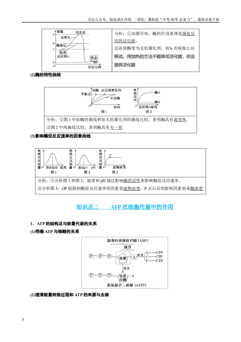 《专题02细胞的能量供应与利用（讲义）（解析版）_06-生物-高考总复习_二轮复习_2024年_2024年高考生物二轮复习高频考点追踪与预测（新高考专用）_讲义_教师版（含答案解析）》第5页预览