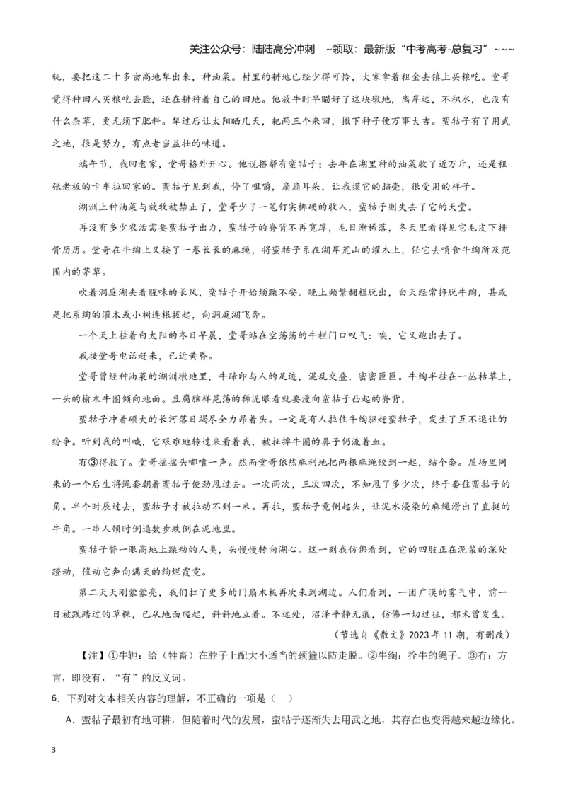 《专题02文学类文本阅读（学生版）（新高考通用）_专项复习_2026年-语文专项复习_2025年高考语文三模试题分类汇编（新高考通用）_2024版_新高考通用》第3页预览