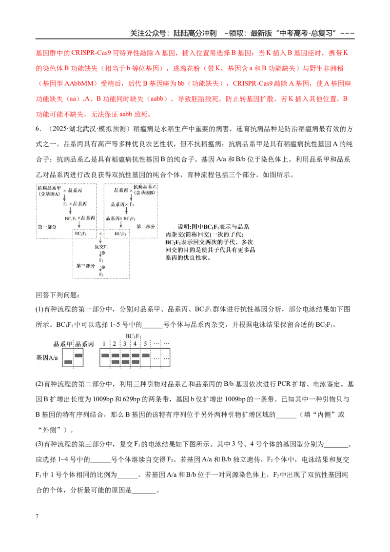 《专题04遗传规律和伴性遗传（2大考点）（教师版）_06-生物-高考总复习_专项复习_2026年-生物高考专项复习_2026年高考生物一模试题分类汇编（湖南专用）-G236_2026版》第7页预览