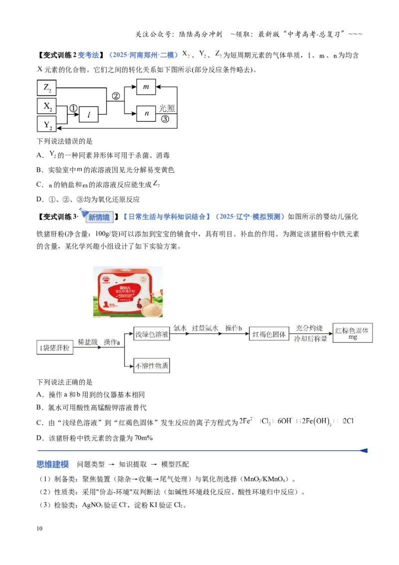 《第01讲氯及其重要化合物（复习讲义）（全国通用）（学生版）_05-化学-高考总复习_一轮复习_2026年-化学高考一轮复习_2026年高考化学一轮复习讲义+练习+课件（新教材新高考）-G55_2026版》第10页预览
