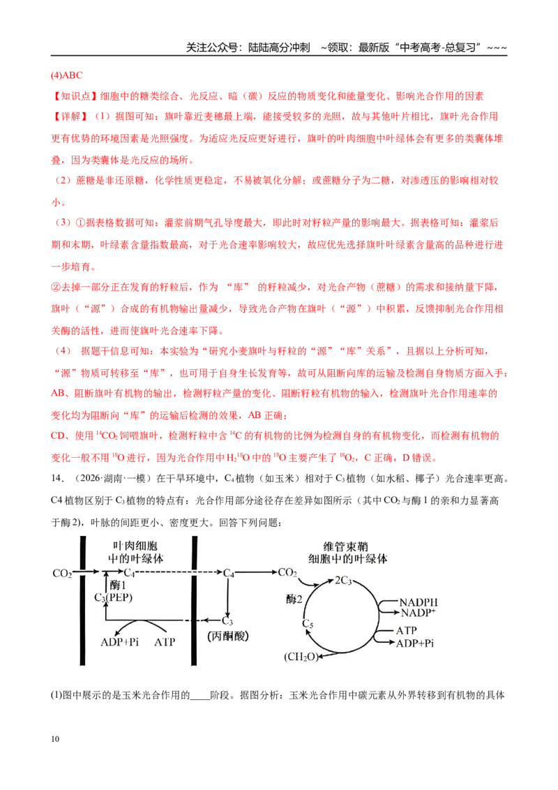 《专题02细胞的能量供应和利用（3大考点）（教师版）_06-生物-高考总复习_专项复习_2026年-生物高考专项复习_2026年高考生物一模试题分类汇编（湖南专用）-G236_2026版》第10页预览