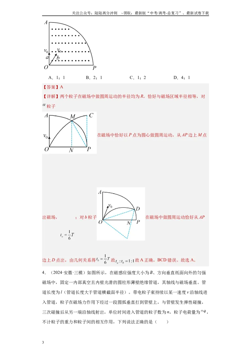 《专题05电场、磁场及复合场（解析版）_04-物理-高考总复习_专项复习_2025年_2024年高考三模试题分类汇编物理新七省专用》第3页预览