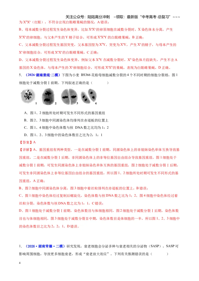 《专题03细胞的生命历程与生物变异（教师版）_06-生物-高考总复习_专项复习_2026年-生物高考专项复习_2026年高考生物二模试题分类汇编（湖南专用）-G292_2026版》第4页预览