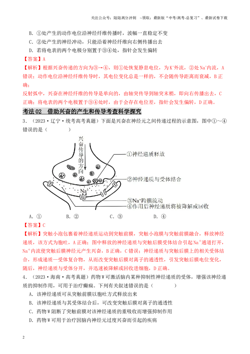 《专题05神经调节的相关实验探究（解析版）_06-生物-高考总复习_专项复习_2024年_2024年高考生物热点实验分析预测题型归纳重难讲解_资料》第2页预览
