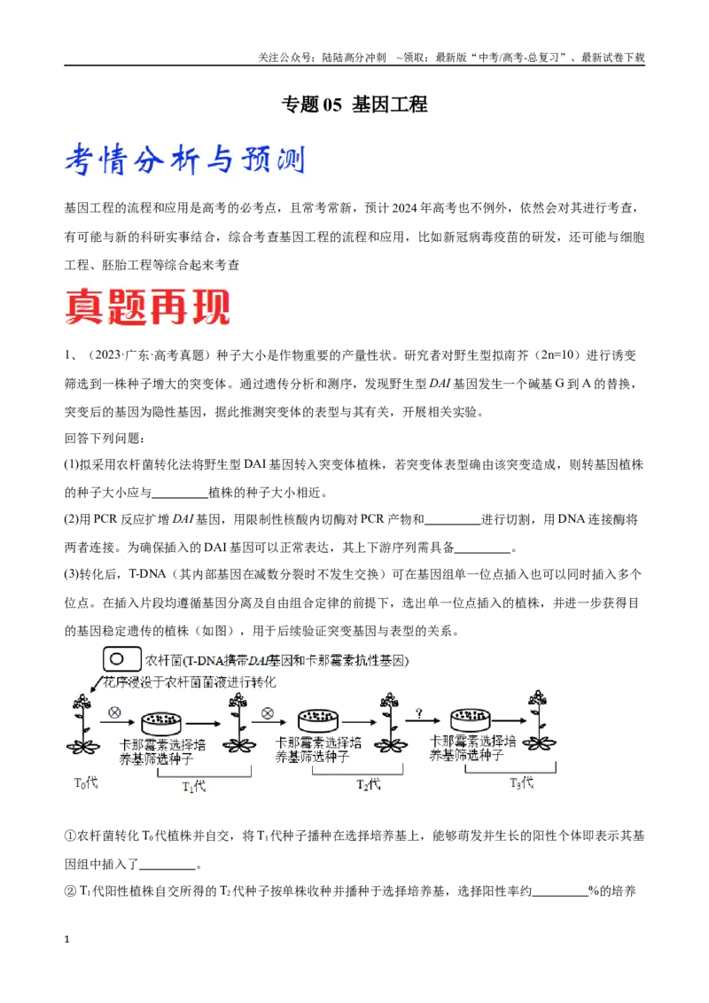 《专题05基因工程（广东卷）（解析版）_06-生物-高考总复习_专项复习_2024年_2024年高考生物考前大题秒杀技巧及专项训练_资料》第1页预览
