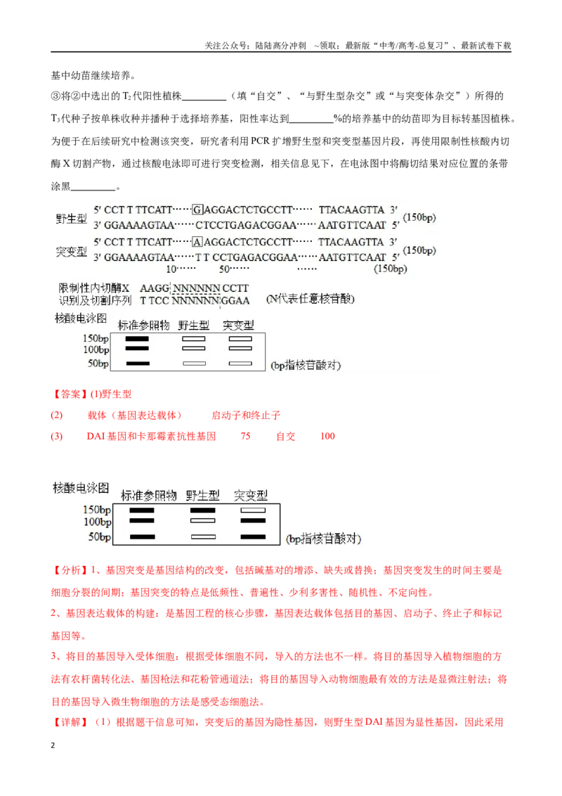 《专题05基因工程（广东卷）（解析版）_06-生物-高考总复习_专项复习_2024年_2024年高考生物考前大题秒杀技巧及专项训练_资料》第2页预览