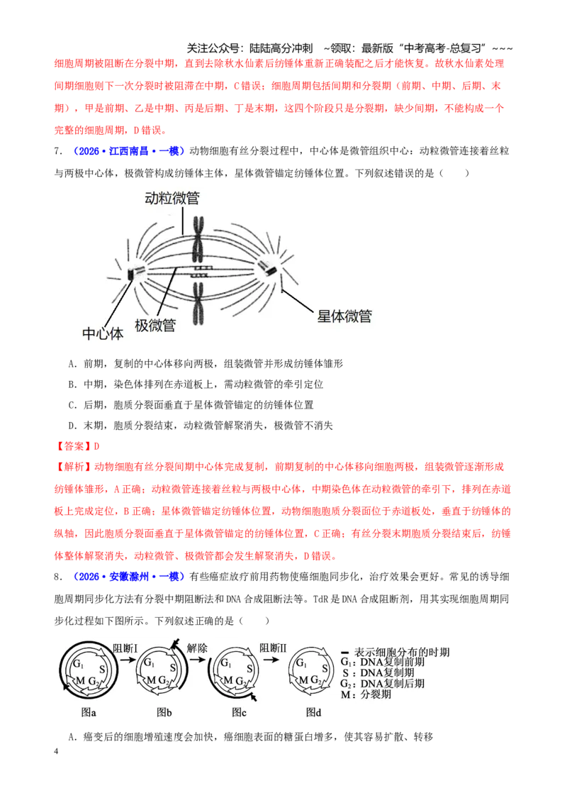 《专题03细胞的生命历程（教师版）_06-生物-高考总复习_专项复习_2026年-生物高考专项复习_2026年高考生物一模试题分类汇编（新高考通用）-G178_2026版》第4页预览