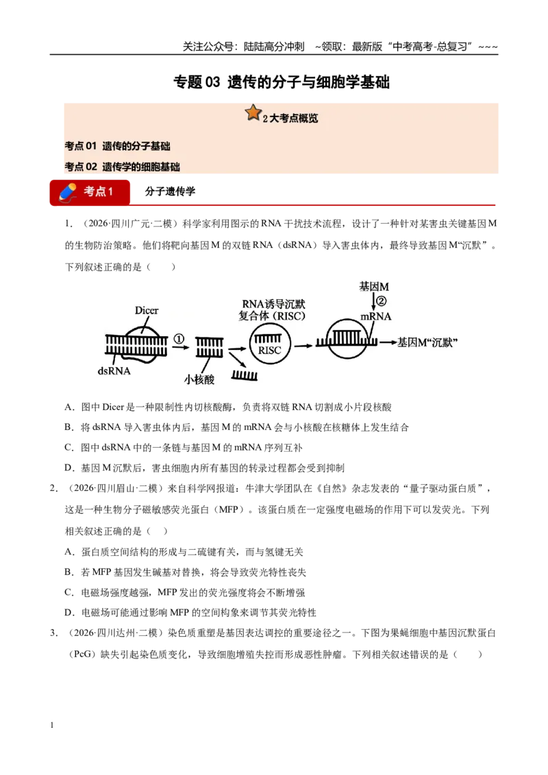 《专题03遗传的分子与细胞学基础（2大考点）（学生版）_06-生物-高考总复习_专项复习_2026年-生物高考专项复习_2026年高考生物二模试题分类汇编（四川专用）-G282_2026版》第1页预览