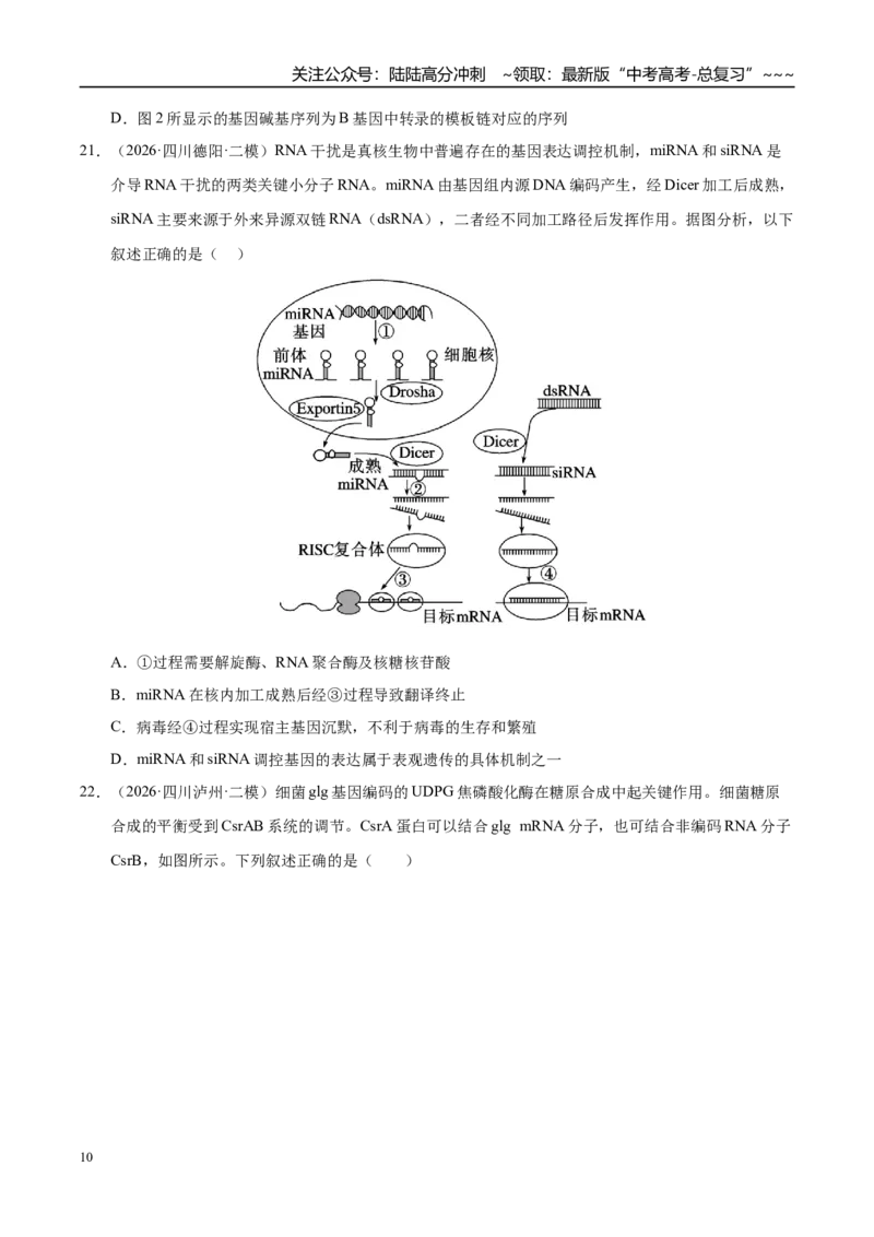 《专题03遗传的分子与细胞学基础（2大考点）（学生版）_06-生物-高考总复习_专项复习_2026年-生物高考专项复习_2026年高考生物二模试题分类汇编（四川专用）-G282_2026版》第10页预览