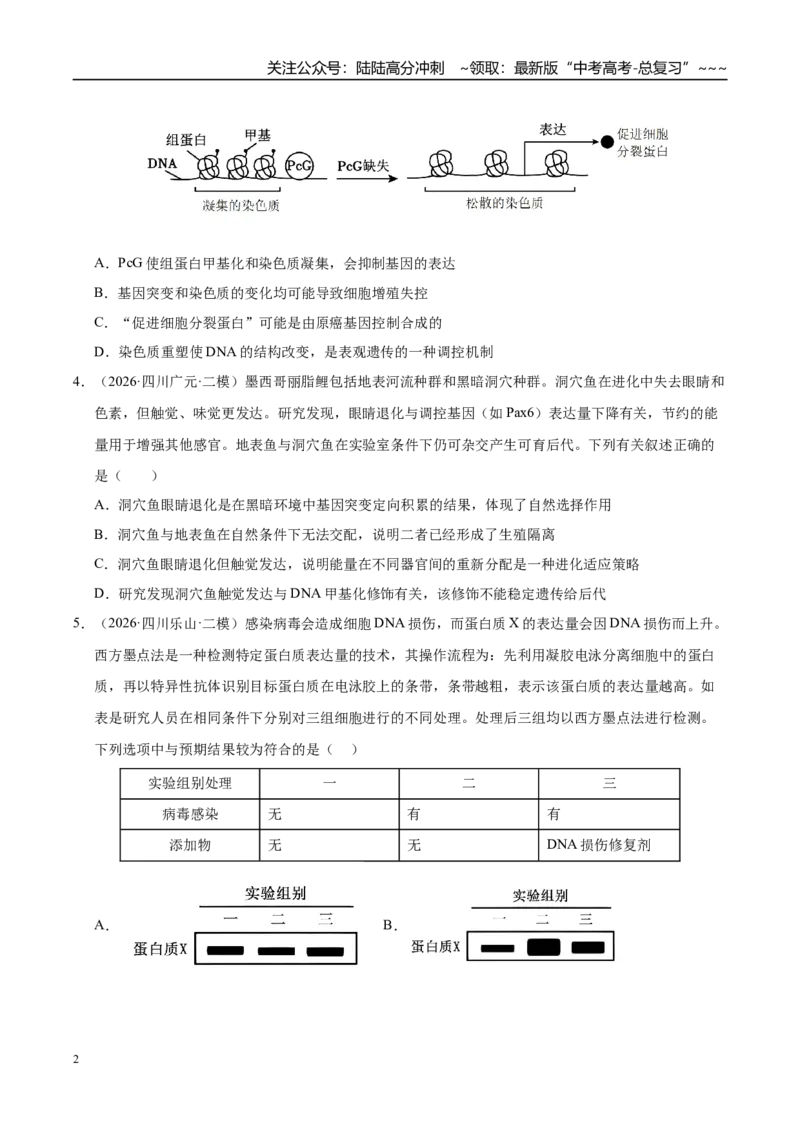 《专题03遗传的分子与细胞学基础（2大考点）（学生版）_06-生物-高考总复习_专项复习_2026年-生物高考专项复习_2026年高考生物二模试题分类汇编（四川专用）-G282_2026版》第2页预览
