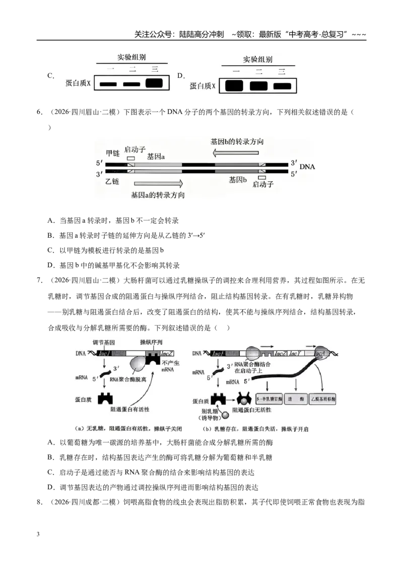 《专题03遗传的分子与细胞学基础（2大考点）（学生版）_06-生物-高考总复习_专项复习_2026年-生物高考专项复习_2026年高考生物二模试题分类汇编（四川专用）-G282_2026版》第3页预览