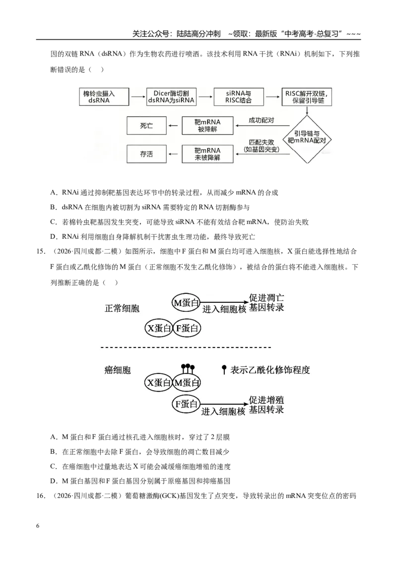 《专题03遗传的分子与细胞学基础（2大考点）（学生版）_06-生物-高考总复习_专项复习_2026年-生物高考专项复习_2026年高考生物二模试题分类汇编（四川专用）-G282_2026版》第6页预览
