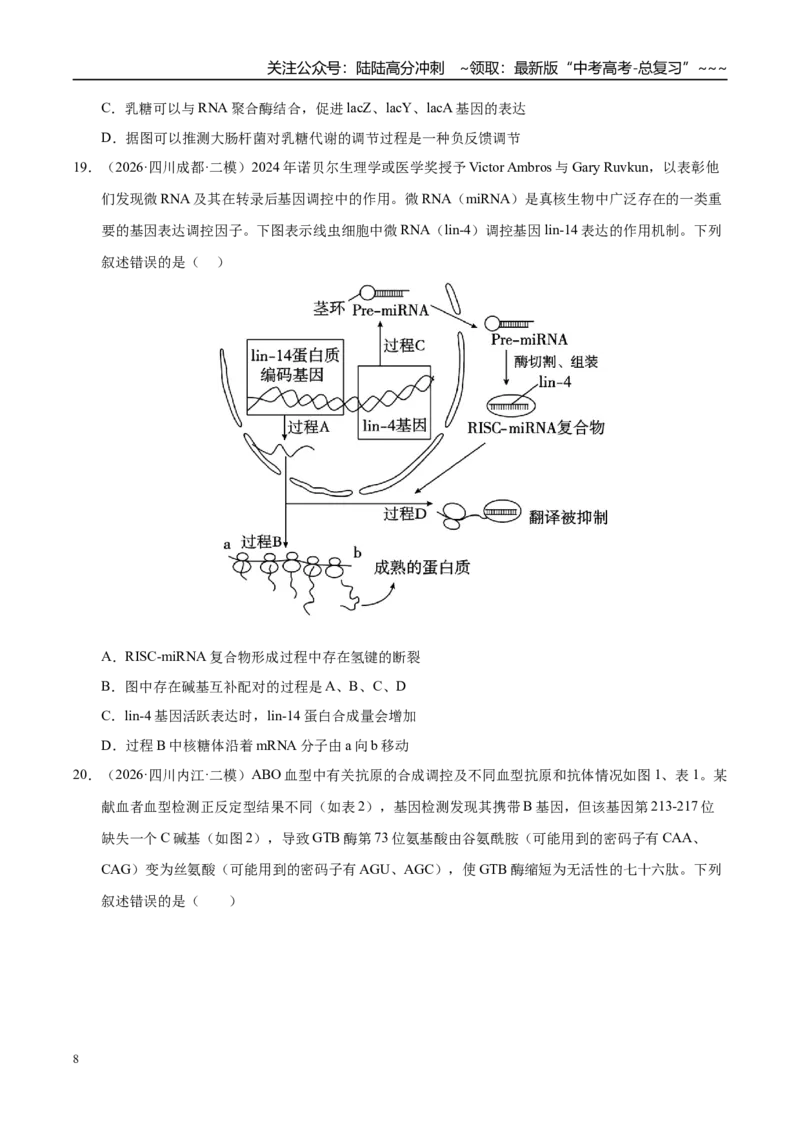 《专题03遗传的分子与细胞学基础（2大考点）（学生版）_06-生物-高考总复习_专项复习_2026年-生物高考专项复习_2026年高考生物二模试题分类汇编（四川专用）-G282_2026版》第8页预览