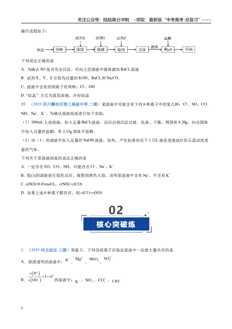 《第03讲离子共存、离子的检验与推断（专项训练）（四川专用）（学生版）_05-化学-高考总复习_一轮复习_2026年-化学高考一轮复习_2026年高考化学一轮课件+讲义+练习（四川专用）-G335》第5页预览