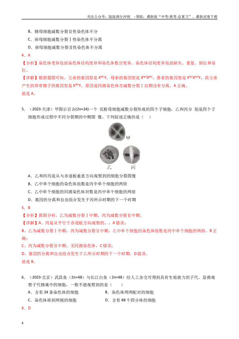 《专题06基因与染色体的关系（解析版）_06-生物-高考总复习_专项复习_2025年_五年2020-2024高考真题分类汇编生物真题分类汇编（全国通用）》第4页预览