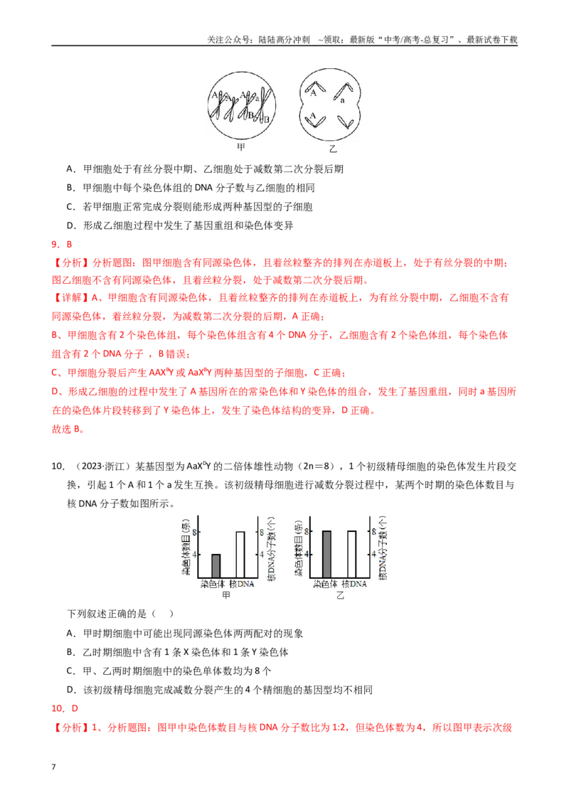 《专题06基因与染色体的关系（解析版）_06-生物-高考总复习_专项复习_2025年_五年2020-2024高考真题分类汇编生物真题分类汇编（全国通用）》第7页预览